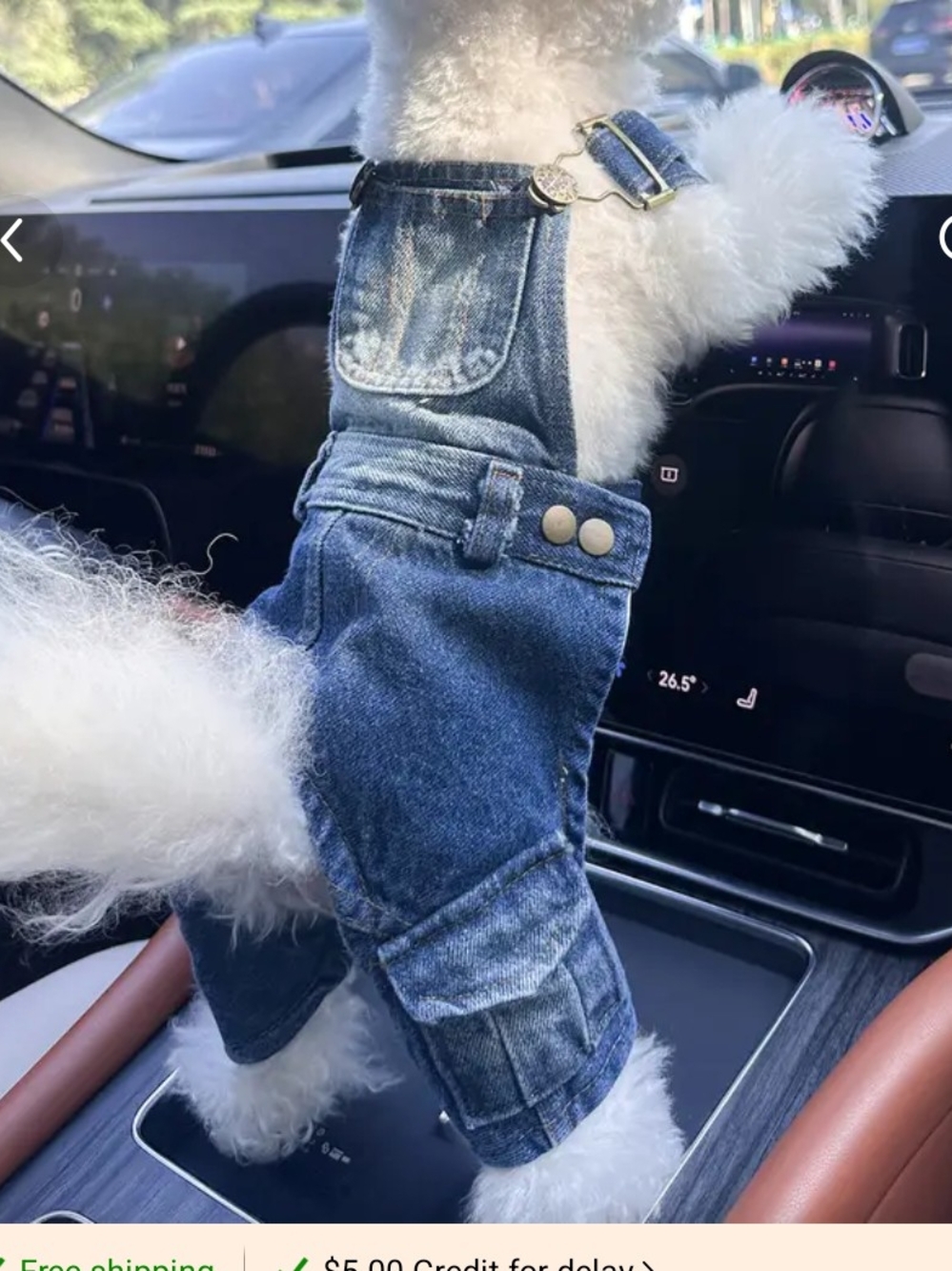Denim Overalls Jeans for Men - Blue